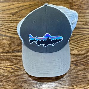 Patagonia trucker snapback